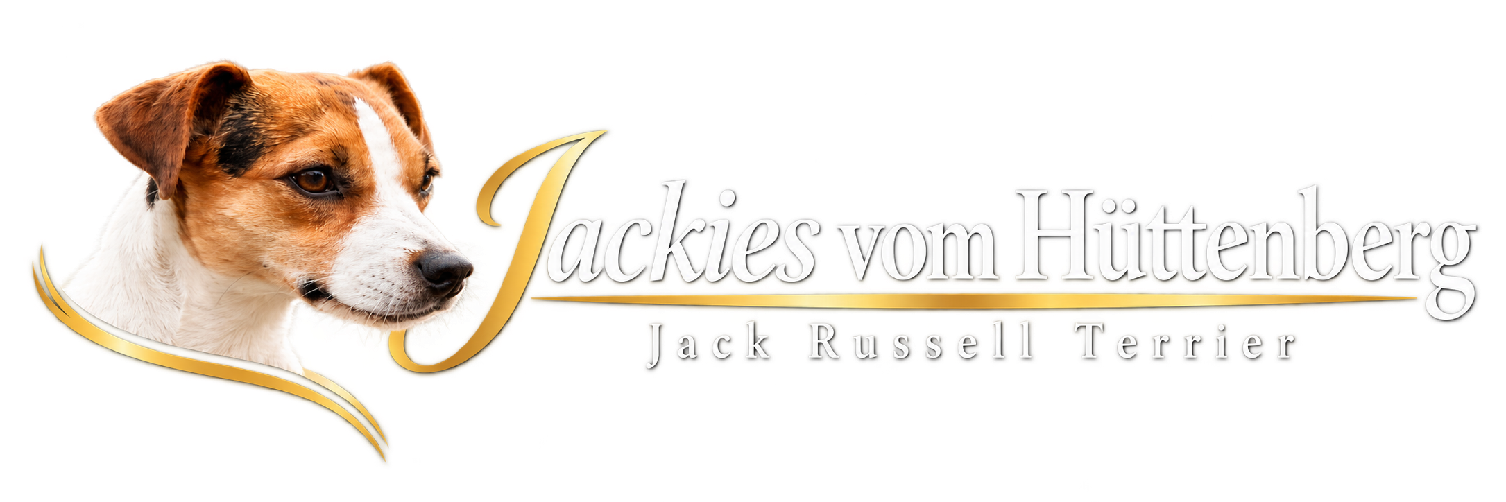 Jackies vom Hüttenberg