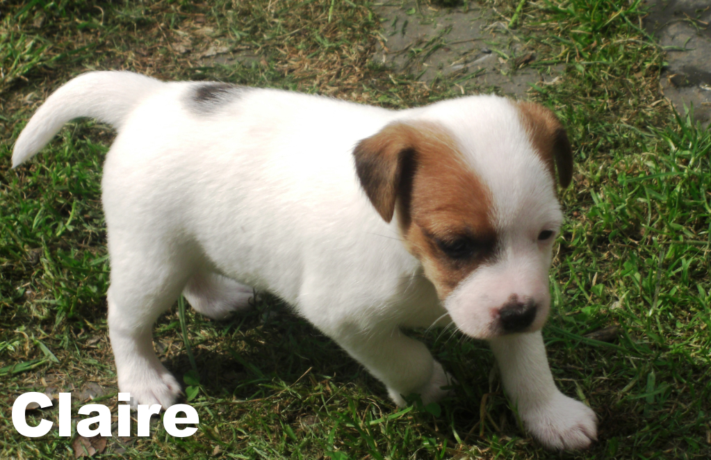 Claire