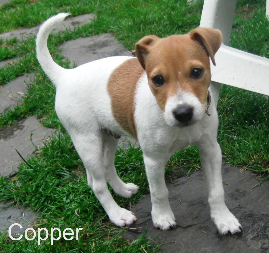 Copper